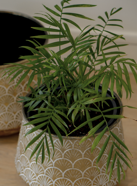 Cache pot Palmier, en métal martelé, moyen modèle